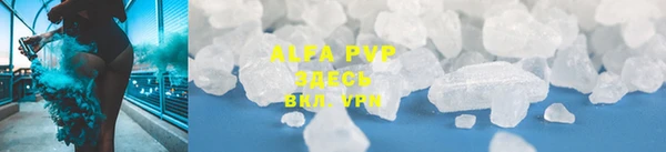 a pvp Аркадак