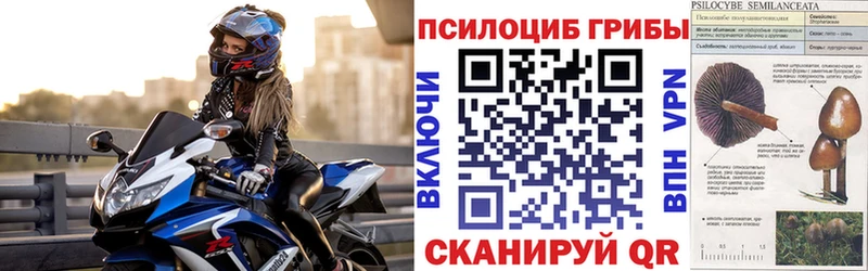 Псилоцибиновые грибы ЛСД  Сальск 