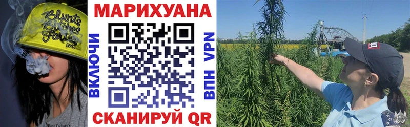Каннабис SATIVA & INDICA  Сальск 